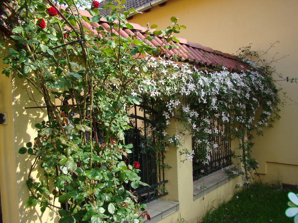 Pensiunea Magnolia Sibiu Esterno foto