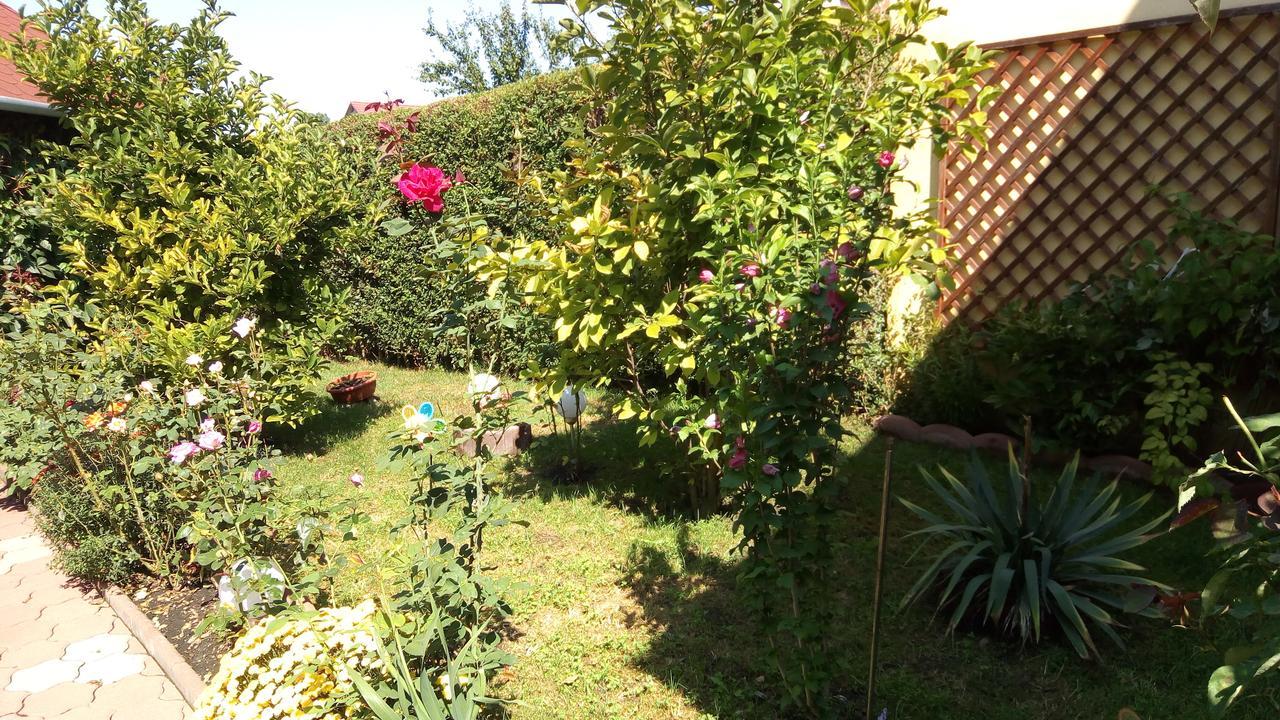 Pensiunea Magnolia Sibiu Esterno foto