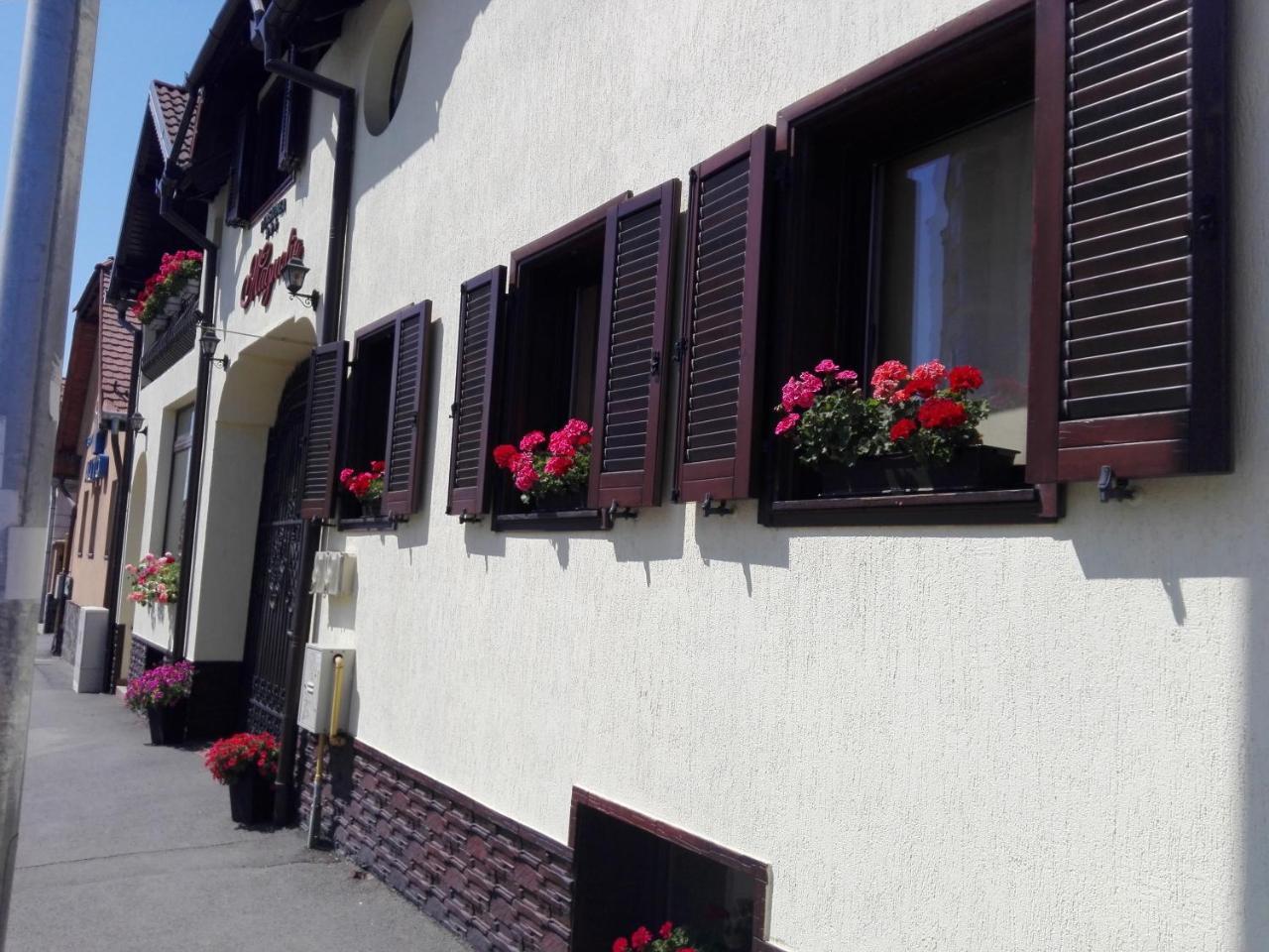 Pensiunea Magnolia Sibiu Esterno foto