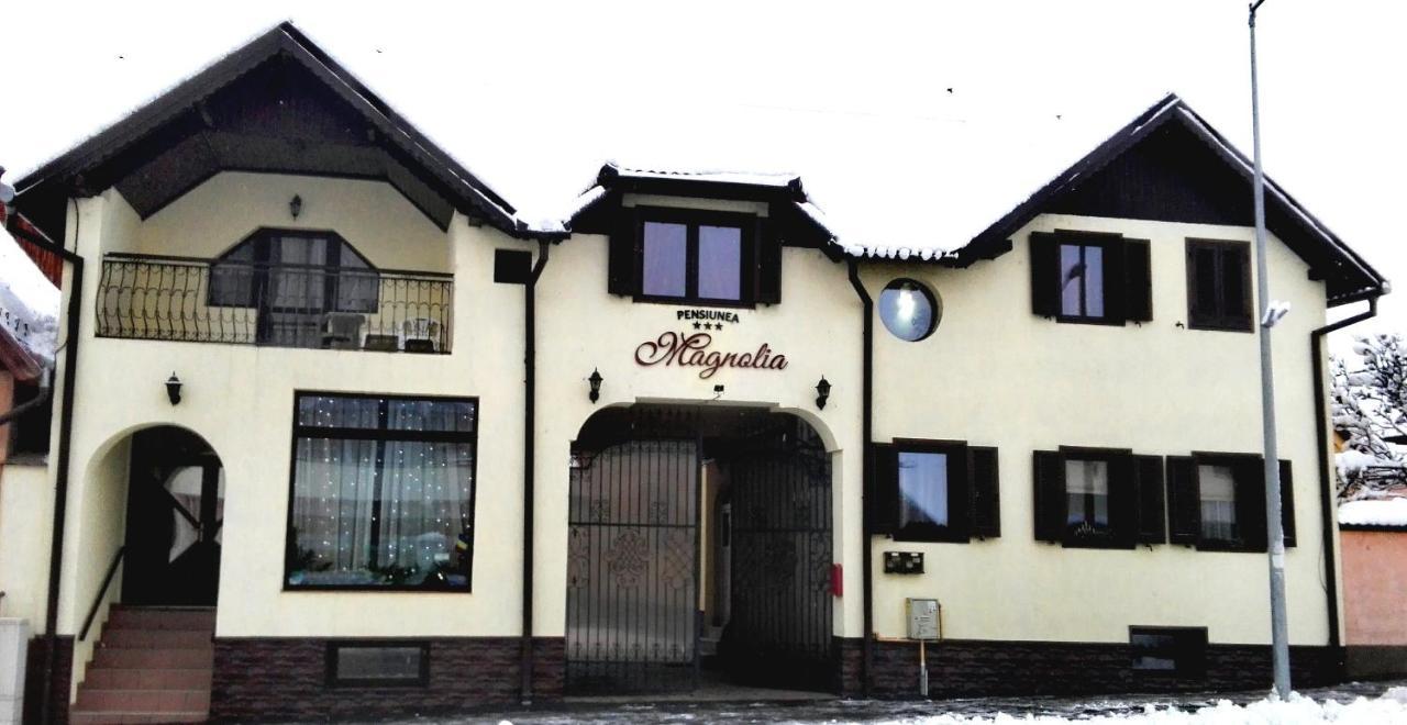Pensiunea Magnolia Sibiu Esterno foto