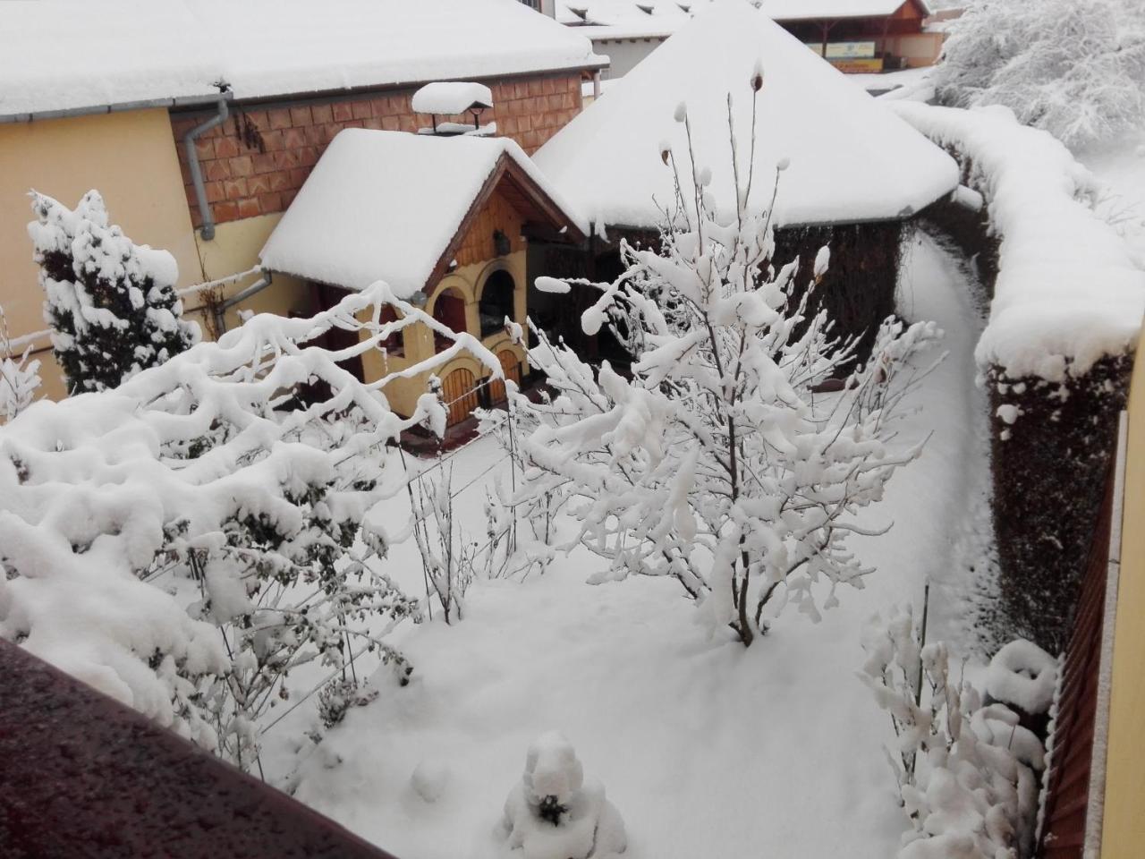 Pensiunea Magnolia Sibiu Esterno foto