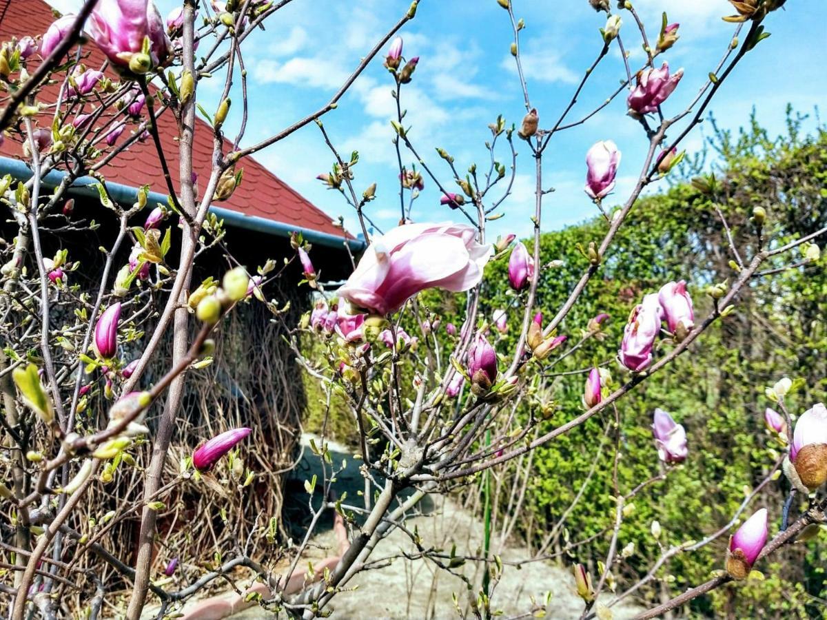 Pensiunea Magnolia Sibiu Esterno foto